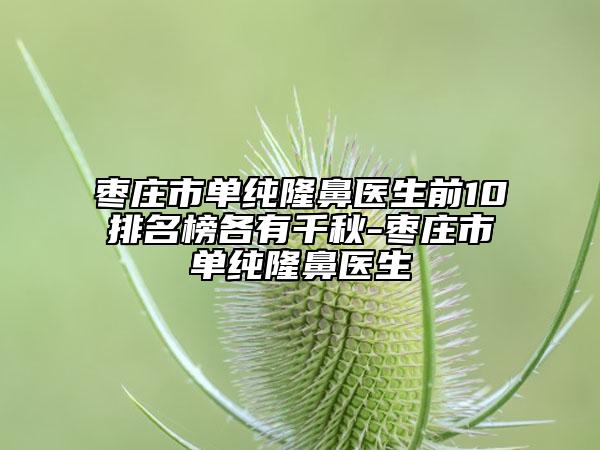 棗莊市單純隆鼻醫(yī)生前10排名榜各有千秋-棗莊市單純隆鼻醫(yī)生