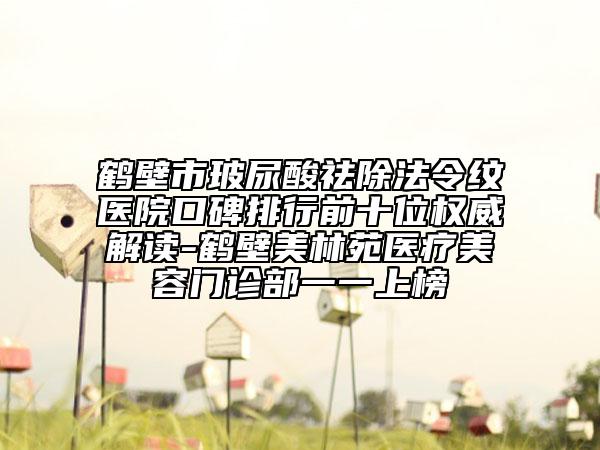 鶴壁市玻尿酸祛除法令紋醫(yī)院口碑排行前十位權(quán)威解讀-鶴壁美林苑醫(yī)療美容門診部一一上榜