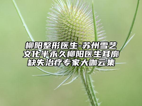 柳陽(yáng)整形醫(yī)生-蘇州雪藝文化半永久柳陽(yáng)醫(yī)生耳廓缺失治療專家大咖云集