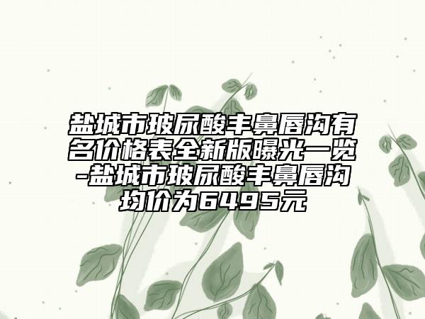 鹽城市玻尿酸豐鼻唇溝有名價格表全新版曝光一覽-鹽城市玻尿酸豐鼻唇溝均價為6495元