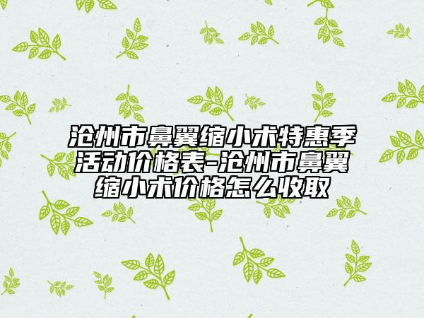 滄州市鼻翼縮小術(shù)特惠季活動價格表-滄州市鼻翼縮小術(shù)價格怎么收取