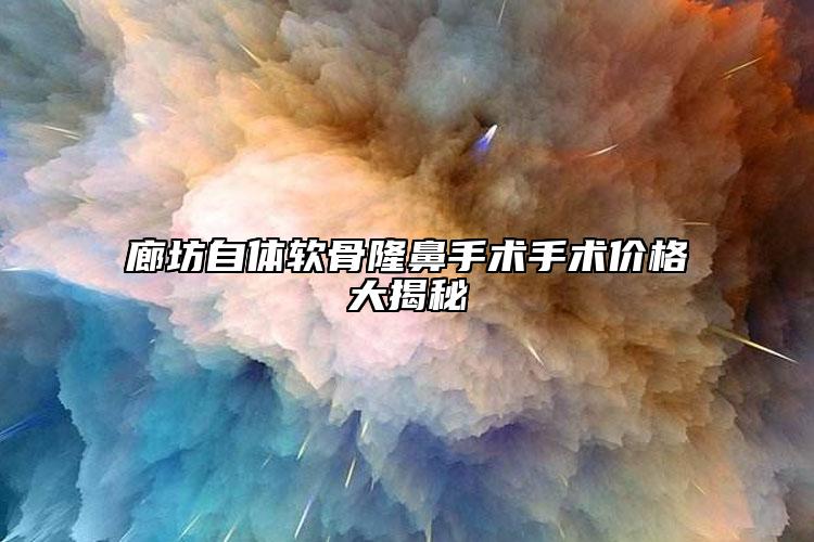 廊坊自體軟骨隆鼻手術(shù)手術(shù)價(jià)格大揭秘