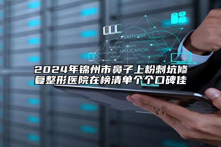 2024年錦州市鼻子上粉刺坑修復(fù)整形醫(yī)院在榜清單個(gè)個(gè)口碑佳