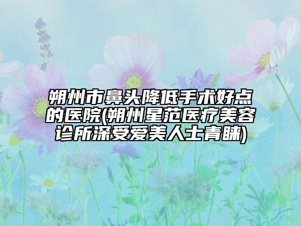 朔州市鼻頭降低手術(shù)好點的醫(yī)院(朔州星范醫(yī)療美容診所深受愛美人士青睞)