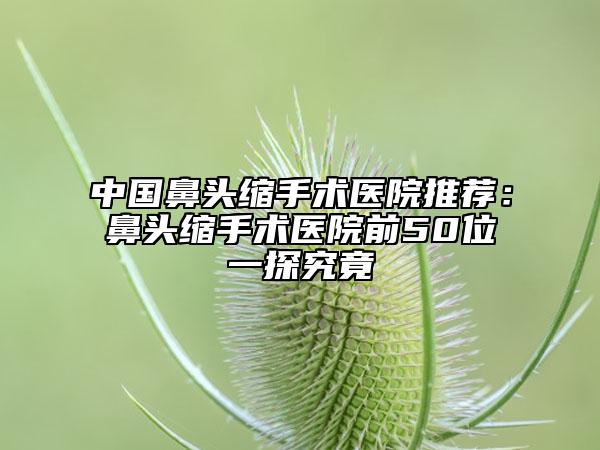 中國鼻頭縮手術醫(yī)院推薦：鼻頭縮手術醫(yī)院前50位一探究竟