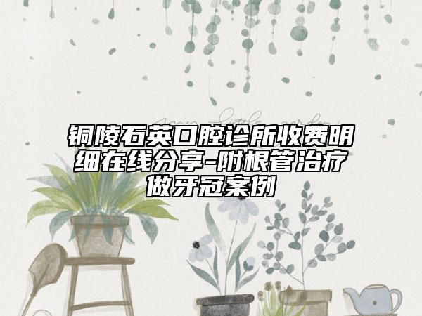 銅陵石英口腔診所收費明細(xì)在線分享-附根管治療做牙冠案例