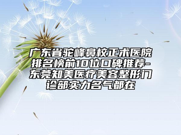 廣東省駝峰鼻校正術(shù)醫(yī)院排名榜前10位口碑推薦-東莞知美醫(yī)療美容整形門診部實(shí)力名氣都在