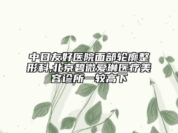 中日友好醫(yī)院面部輪廓整形科,北京碧微愛(ài)琳醫(yī)療美容診所一較高下