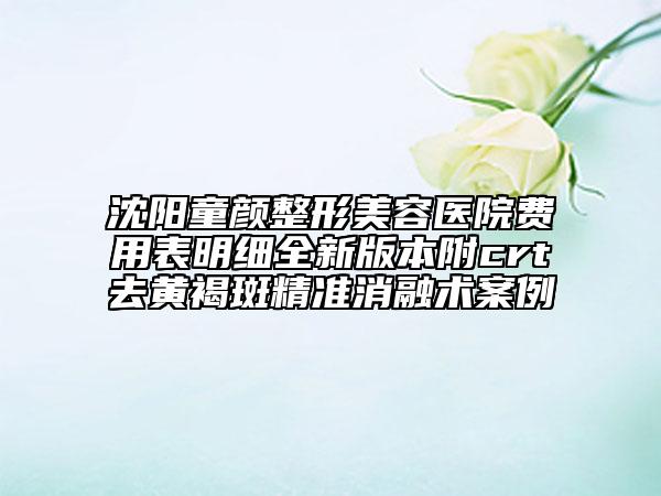 沈陽(yáng)童顏整形美容醫(yī)院費(fèi)用表明細(xì)全新版本附crt去黃褐斑精準(zhǔn)消融術(shù)案例