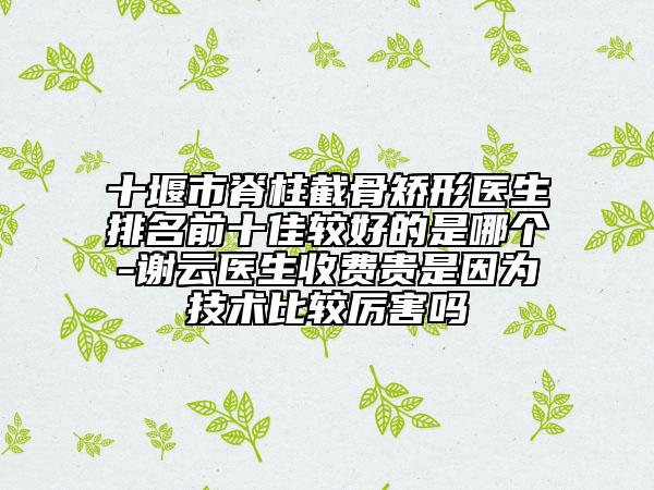 十堰市脊柱截骨矯形醫(yī)生排名前十佳較好的是哪個(gè)-謝云醫(yī)生收費(fèi)貴是因?yàn)榧夹g(shù)比較厲害嗎
