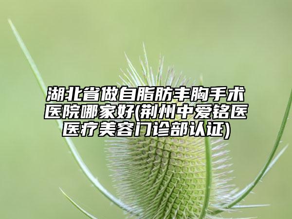 湖北省做自脂肪豐胸手術(shù)醫(yī)院哪家好(荊州中愛(ài)銘醫(yī)醫(yī)療美容門(mén)診部認(rèn)證)