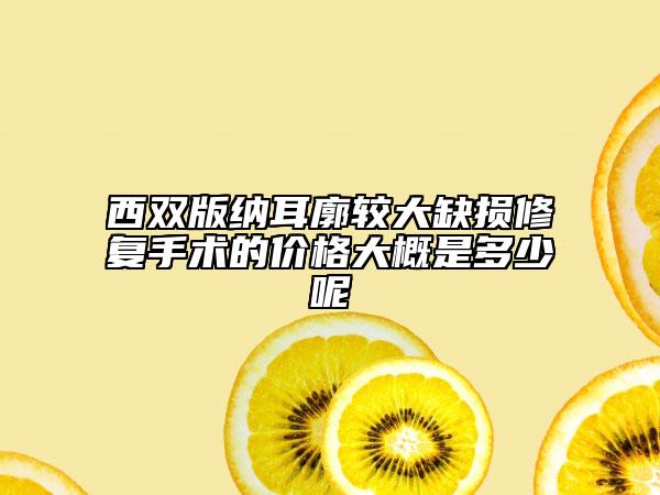 西雙版納耳廓較大缺損修復(fù)手術(shù)的價(jià)格大概是多少呢