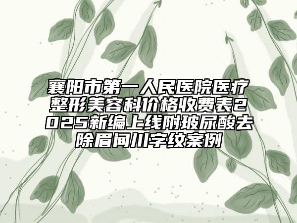 襄陽市第一人民醫(yī)院醫(yī)療整形美容科價格收費表2025新編上線附玻尿酸去除眉間川字紋案例