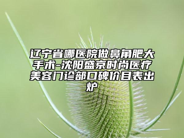 遼寧省哪醫(yī)院做鼻角肥大手術-沈陽盛京時尚醫(yī)療美容門診部口碑價目表出爐