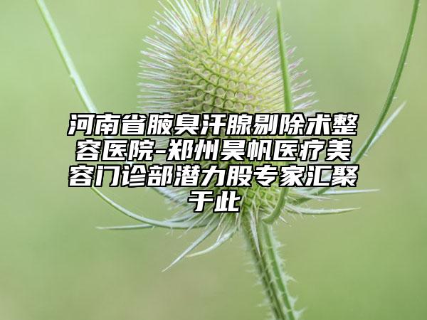 河南省腋臭汗腺剔除術(shù)整容醫(yī)院-鄭州昊帆醫(yī)療美容門(mén)診部潛力股專(zhuān)家匯聚于此