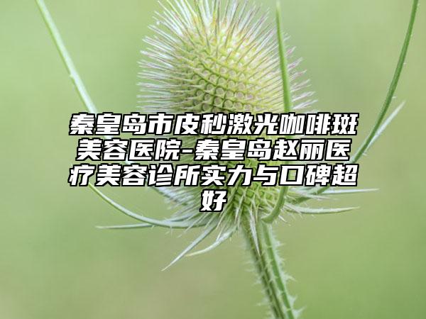 秦皇島市皮秒激光咖啡斑美容醫(yī)院-秦皇島趙麗醫(yī)療美容診所實力與口碑超好