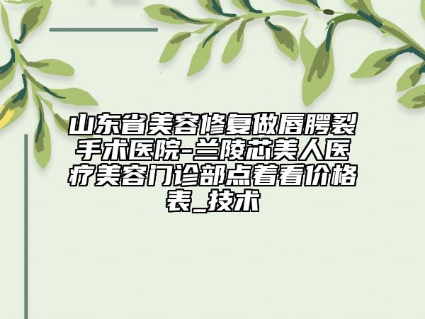 山東省美容修復(fù)做唇腭裂手術(shù)醫(yī)院-蘭陵芯美人醫(yī)療美容門診部點著看價格表_技術(shù)