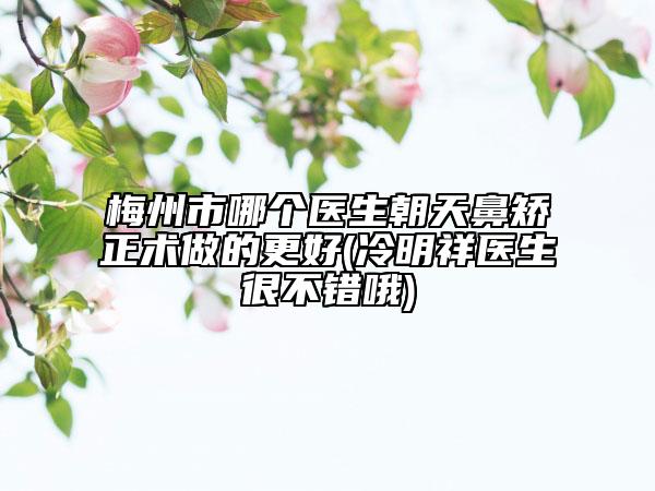 梅州市哪個(gè)醫(yī)生朝天鼻矯正術(shù)做的更好(冷明祥醫(yī)生很不錯(cuò)哦)