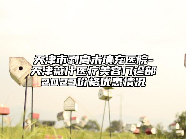 天津市剝離術(shù)填充醫(yī)院-天津薇什醫(yī)療美容門診部2023價格優(yōu)惠情況