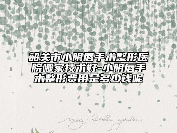 韶關(guān)市小陰唇手術(shù)整形醫(yī)院哪家技術(shù)好-小陰唇手術(shù)整形費(fèi)用是多少錢呢