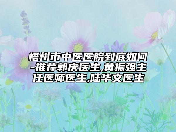 梧州市中醫(yī)醫(yī)院到底如何-推薦郭慶醫(yī)生,黃振強主任醫(yī)師醫(yī)生,陸華文醫(yī)生