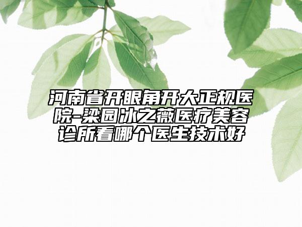 河南省開(kāi)眼角開(kāi)大正規(guī)醫(yī)院-梁園冰之薇醫(yī)療美容診所看哪個(gè)醫(yī)生技術(shù)好