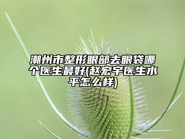 潮州市整形眼部去眼袋哪個醫(yī)生最好(趙宏宇醫(yī)生水平怎么樣)