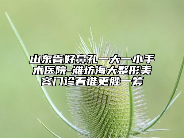 山東省好鼻孔一大一小手術(shù)醫(yī)院-濰坊海大整形美容門診看誰更勝一籌