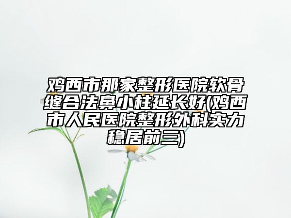 雞西市那家整形醫(yī)院軟骨縫合法鼻小柱延長好(雞西市人民醫(yī)院整形外科實力穩(wěn)居前三)