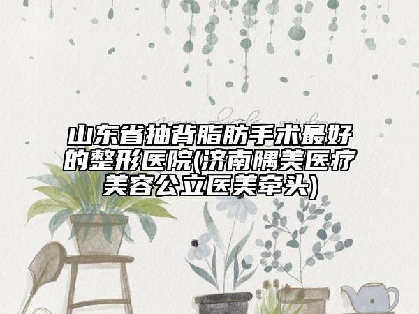 山東省抽背脂肪手術(shù)最好的整形醫(yī)院(濟(jì)南隅美醫(yī)療美容公立醫(yī)美牽頭)