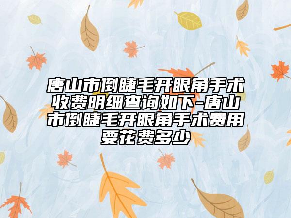 唐山市倒睫毛開眼角手術(shù)收費(fèi)明細(xì)查詢?nèi)缦?唐山市倒睫毛開眼角手術(shù)費(fèi)用要花費(fèi)多少