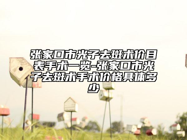 張家口市光子去斑術(shù)價(jià)目表手術(shù)一覽-張家口市光子去斑術(shù)手術(shù)價(jià)格具體多少