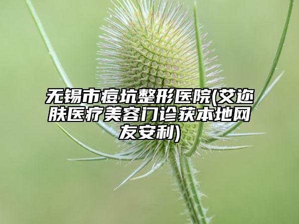 無(wú)錫市痘坑整形醫(yī)院(艾邇膚醫(yī)療美容門(mén)診獲本地網(wǎng)友安利)