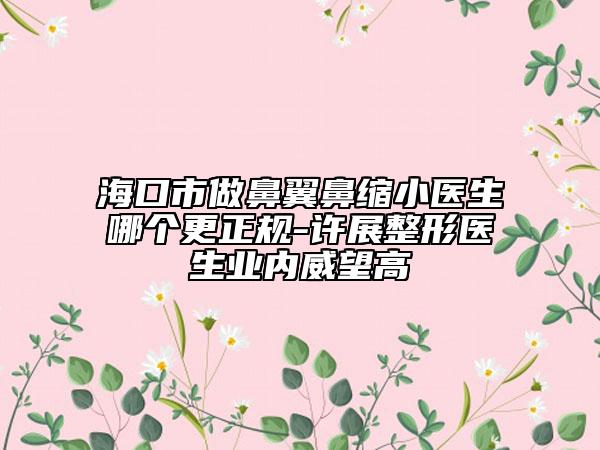 海口市做鼻翼鼻縮小醫(yī)生哪個(gè)更正規(guī)-許展整形醫(yī)生業(yè)內(nèi)威望高