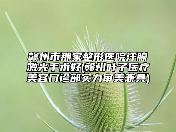 贛州市那家整形醫(yī)院汗腺激光手術好(贛州葉子醫(yī)療美容門診部實力審美兼具)