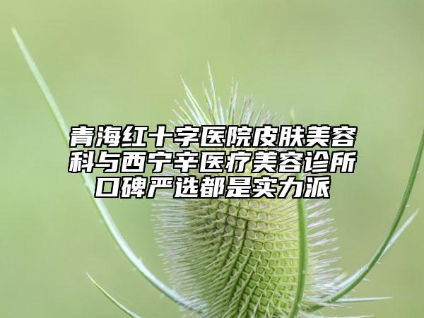 青海紅十字醫(yī)院皮膚美容科與西寧辛醫(yī)療美容診所口碑嚴(yán)選都是實力派