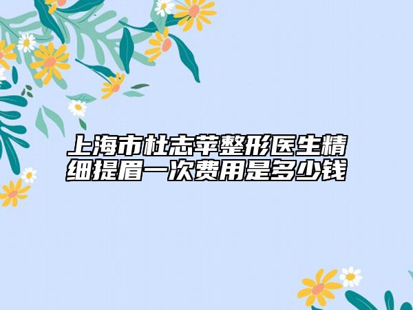 上海市杜志蘋整形醫(yī)生精細提眉一次費用是多少錢