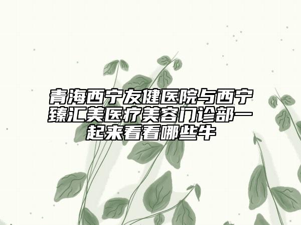 青海西寧友健醫(yī)院與西寧臻匯美醫(yī)療美容門診部一起來看看哪些牛
