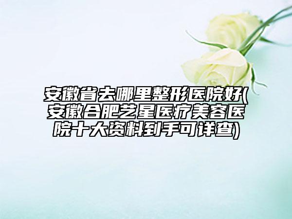 安徽省去哪里整形醫(yī)院好(安徽合肥藝星醫(yī)療美容醫(yī)院十大資料到手可詳查)