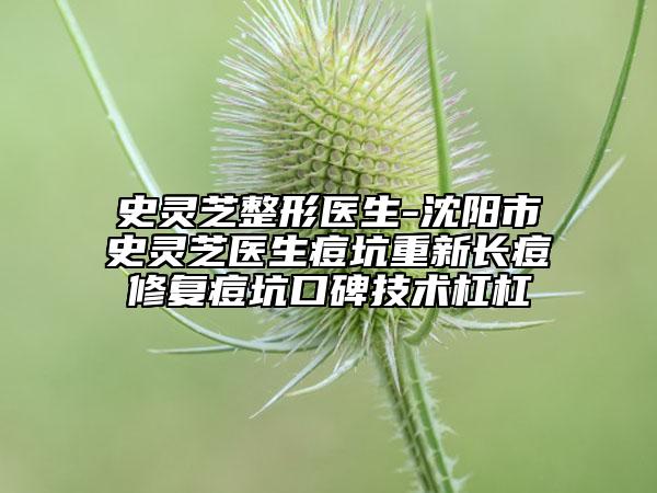 史靈芝整形醫(yī)生-沈陽(yáng)市史靈芝醫(yī)生痘坑重新長(zhǎng)痘修復(fù)痘坑口碑技術(shù)杠杠