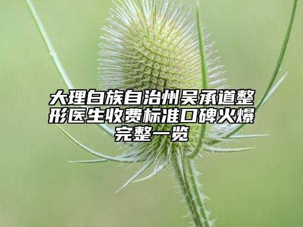大理白族自治州吳承道整形醫(yī)生收費(fèi)標(biāo)準(zhǔn)口碑火爆完整一覽