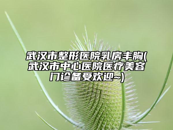 武漢市整形醫(yī)院乳房豐胸(武漢市中心醫(yī)院醫(yī)療美容門(mén)診備受歡迎~)