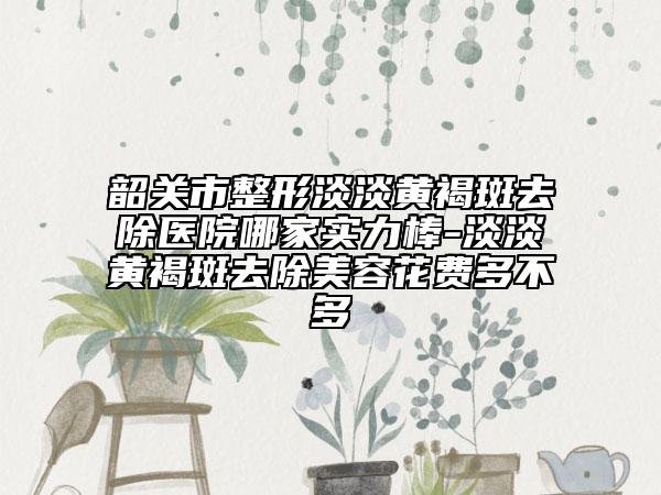 韶關(guān)市整形淡淡黃褐斑去除醫(yī)院哪家實力棒-淡淡黃褐斑去除美容花費多不多