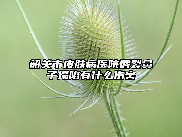 韶關(guān)市皮膚病醫(yī)院唇裂鼻子塌陷有什么傷害