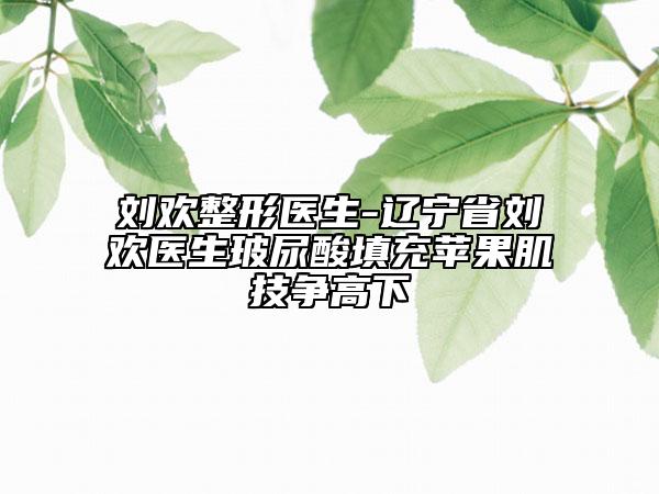 劉歡整形醫(yī)生-遼寧省劉歡醫(yī)生玻尿酸填充蘋果肌技爭高下