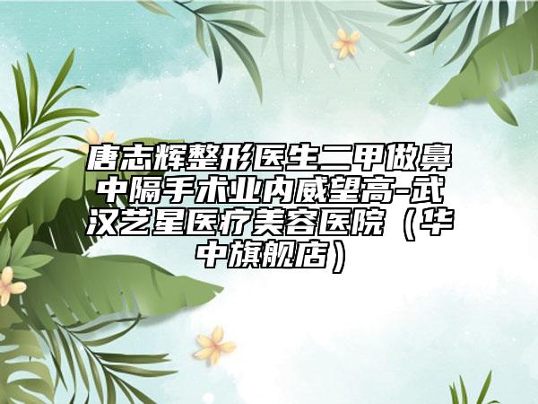 唐志輝整形醫(yī)生二甲做鼻中隔手術(shù)業(yè)內(nèi)威望高-武漢藝星醫(yī)療美容醫(yī)院（華中旗艦店）