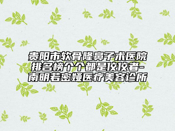 貴陽市軟骨隆鼻子術醫(yī)院排名榜個個都是佼佼者-南明若密婭醫(yī)療美容診所
