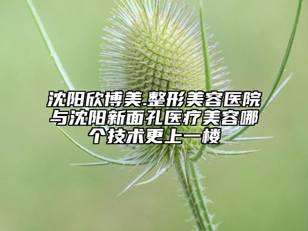 沈陽(yáng)欣博美.整形美容醫(yī)院與沈陽(yáng)新面孔醫(yī)療美容哪個(gè)技術(shù)更上一樓