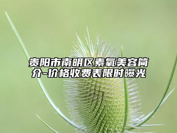 貴陽市南明區(qū)素氧美容簡(jiǎn)介-價(jià)格收費(fèi)表限時(shí)曝光
