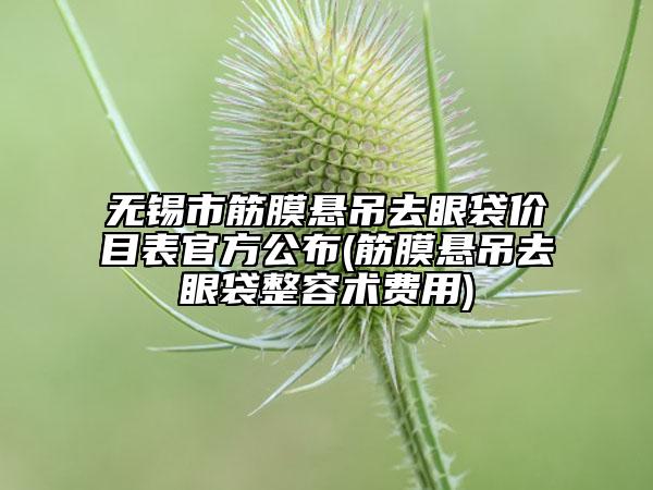 無錫市筋膜懸吊去眼袋價目表官方公布(筋膜懸吊去眼袋整容術(shù)費用)